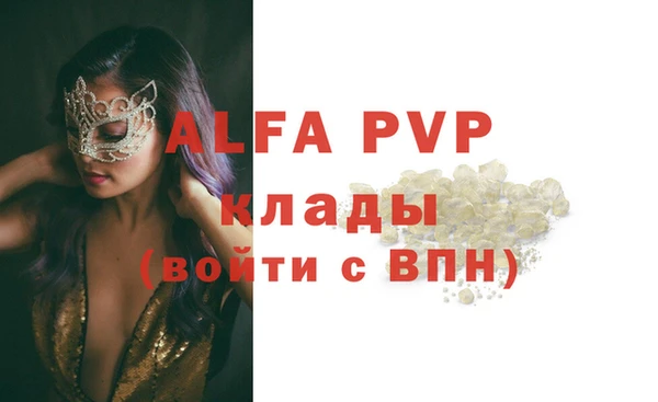 эйфоретик Баксан