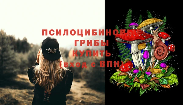 эйфоретик Баксан