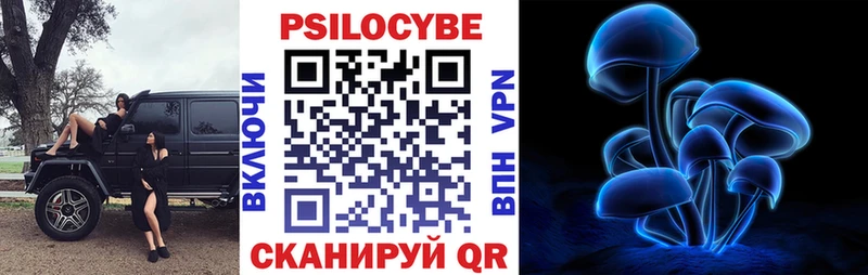 Псилоцибиновые грибы Psilocybine cubensis  Ясногорск 